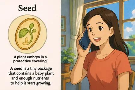 seed Simple Definition