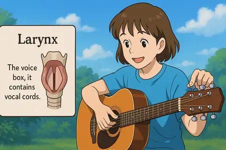 larynx Simple Definition