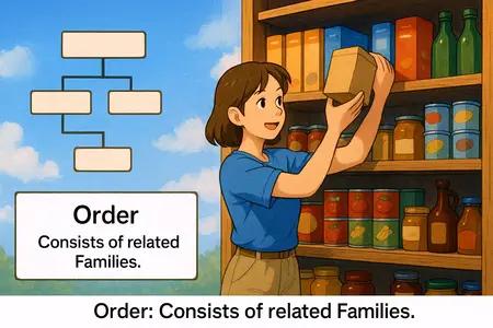 order Simple Definition