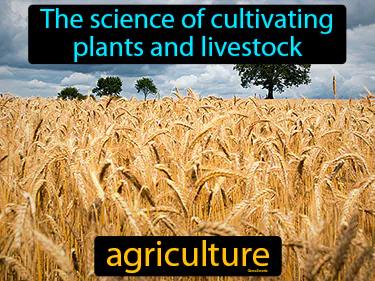 agriculture Simple Definition