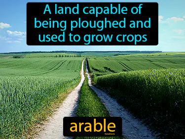 arable Simple Definition