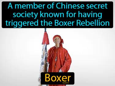 Boxer Simple Definition