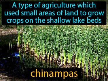chinampas Simple Definition