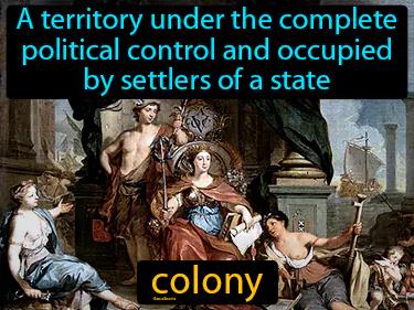 colony Simple Definition