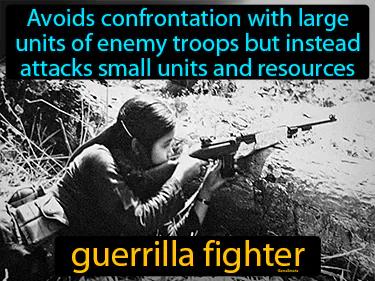 guerrilla fighter Simple Definition