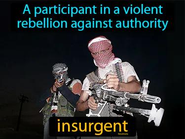 insurgent Simple Definition