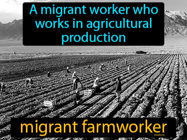 migrant farmworker Simple Definition