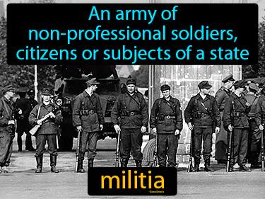 militia Simple Definition