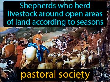 pastoral society Simple Definition