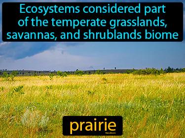 prairie Simple Definition