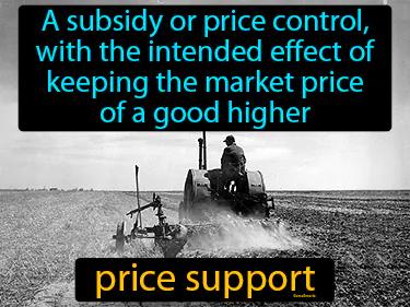 price support Simple Definition