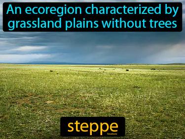 steppe Simple Definition
