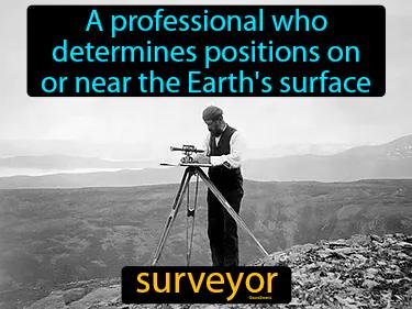 surveyor Simple Definition
