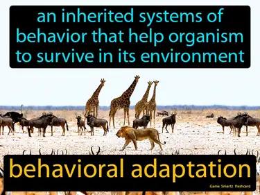 behavioral adaptation Simple Definition