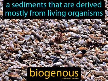 biogenous Simple Definition