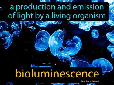 bioluminescence Simple Definition