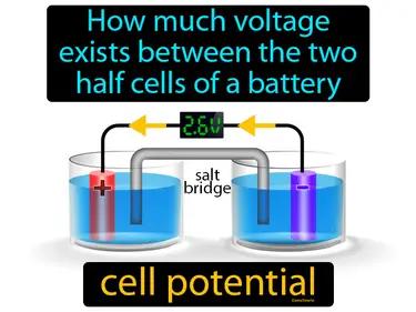 cell potential Simple Definition