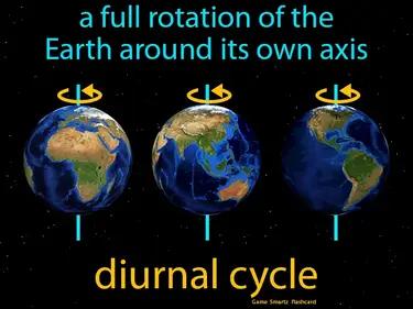 diurnal cycle Simple Definition