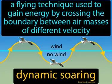 dynamic soaring Simple Definition