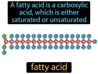 fatty acid Simple Definition