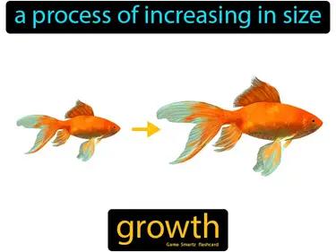 growth Simple Definition