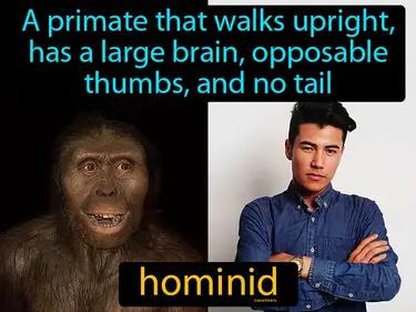 hominid Simple Definition
