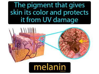 melanin Simple Definition