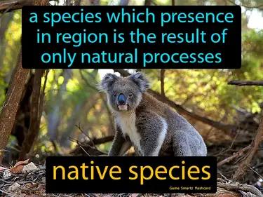 native species Simple Definition