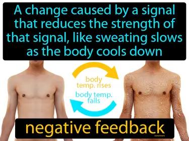 negative feedback Simple Definition