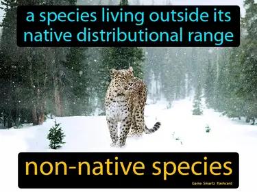 non-native species Simple Definition