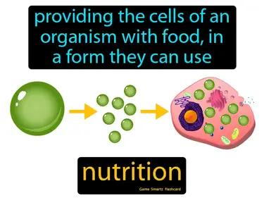 nutrition Simple Definition