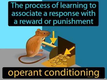 operant conditioning Simple Definition