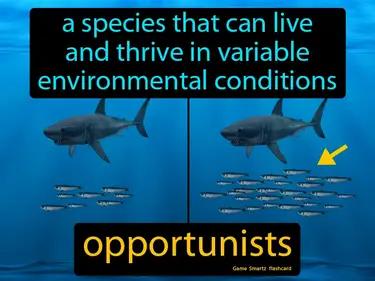opportunists Simple Definition