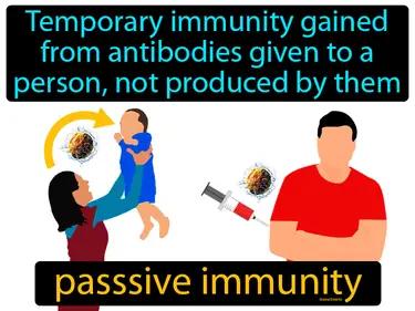 passive immunity Simple Definition