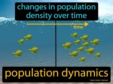 population dynamics Simple Definition