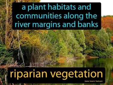 riparian vegetation Simple Definition