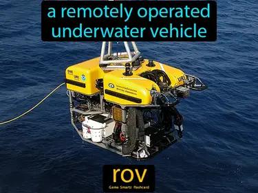 rov Simple Definition