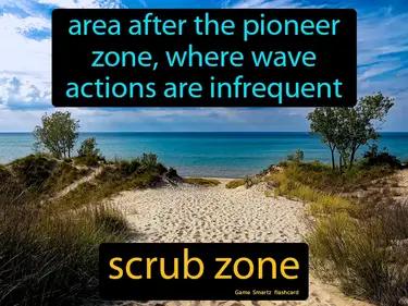 scrub zone Simple Definition