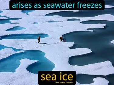 sea ice Simple Definition