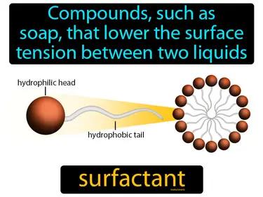 surfactant Simple Definition