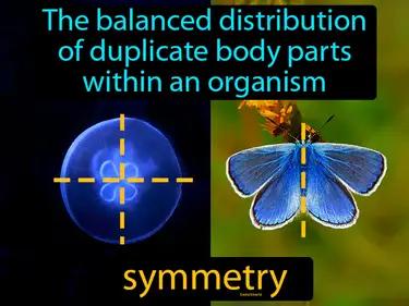 symmetry Simple Definition