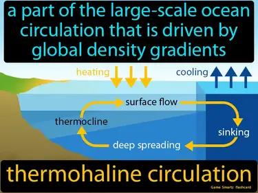 thermohaline circulation Simple Definition
