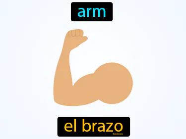 el brazo Simple Definition