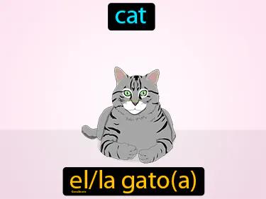 el gato Simple Definition