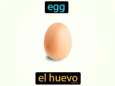 el huevo Simple Definition