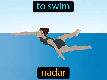 nadar Simple Definition