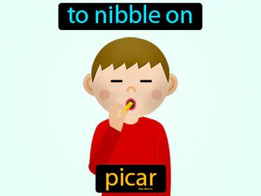 picar Simple Definition
