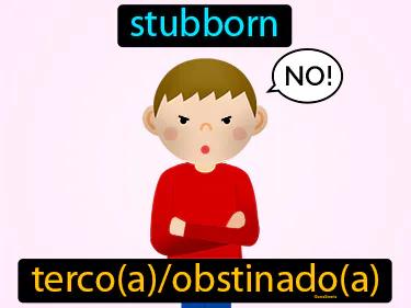 terco Simple Definition