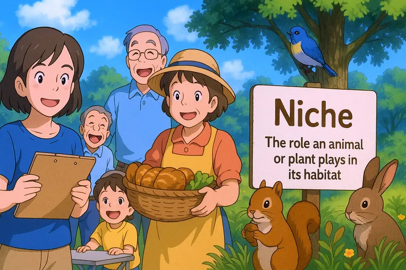 What is a Niche? - Easy to Understand What is a Niche? - Easy to Understand
