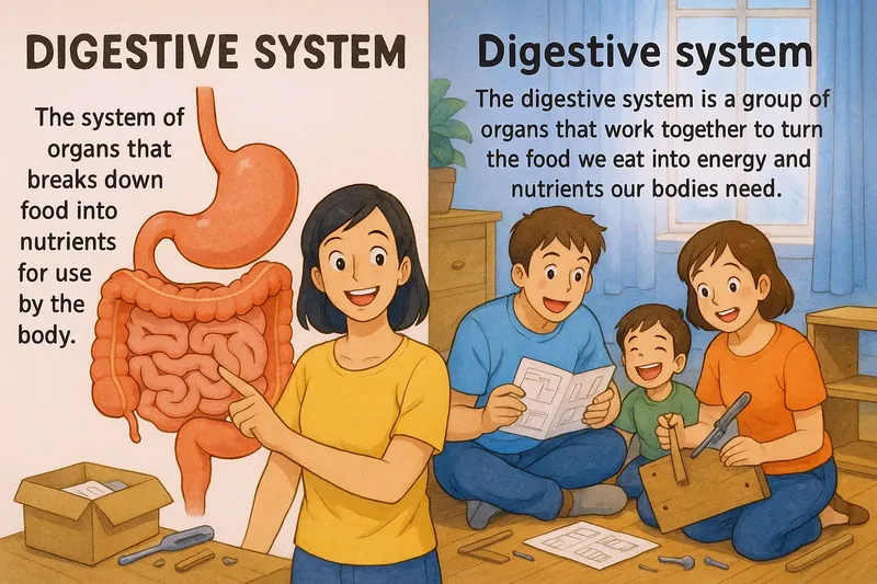 What is the Digestive System? - Easy to Understand What is the Digestive System? - Easy to Understand